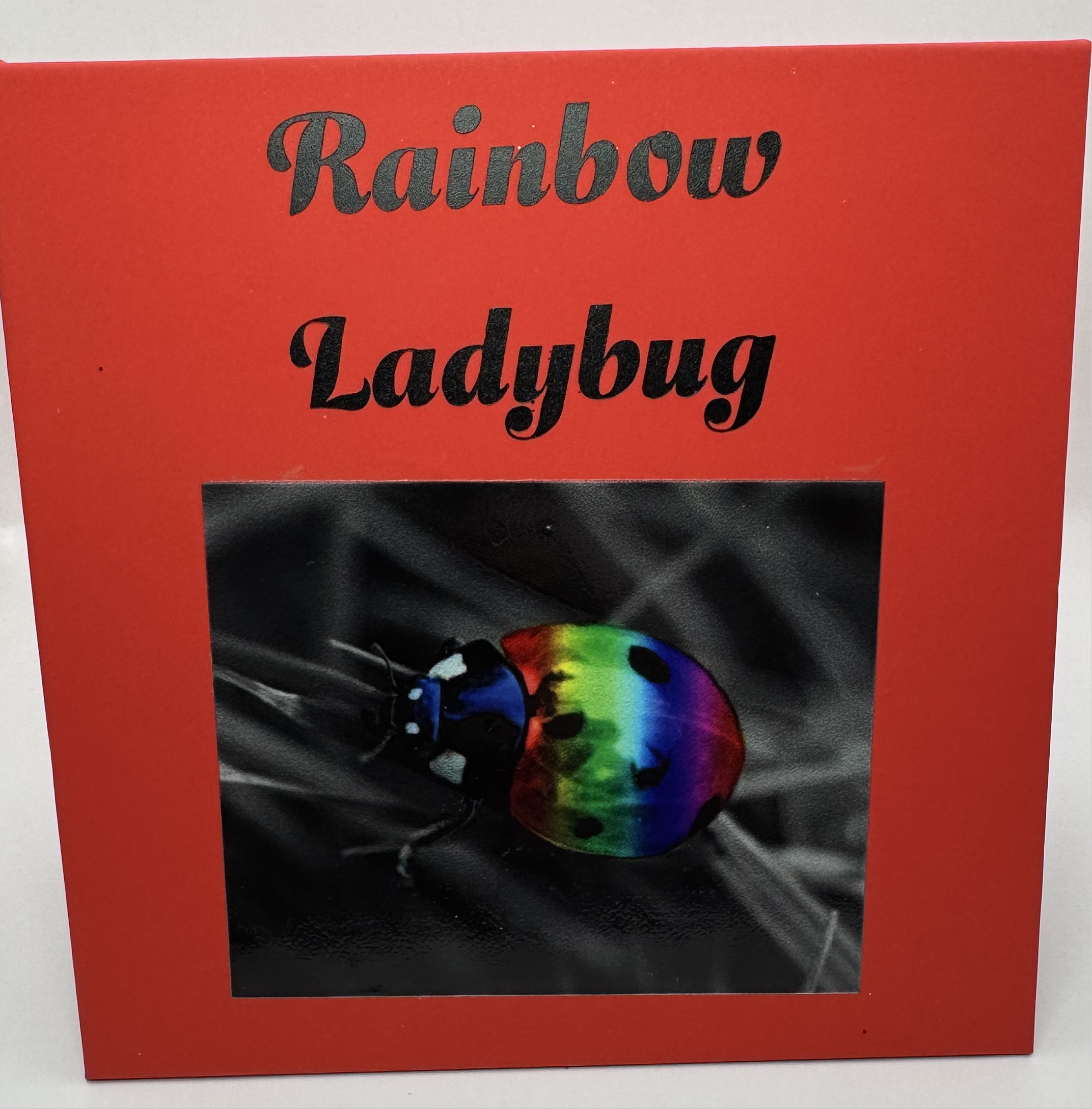 Rainbow Ladybug palette