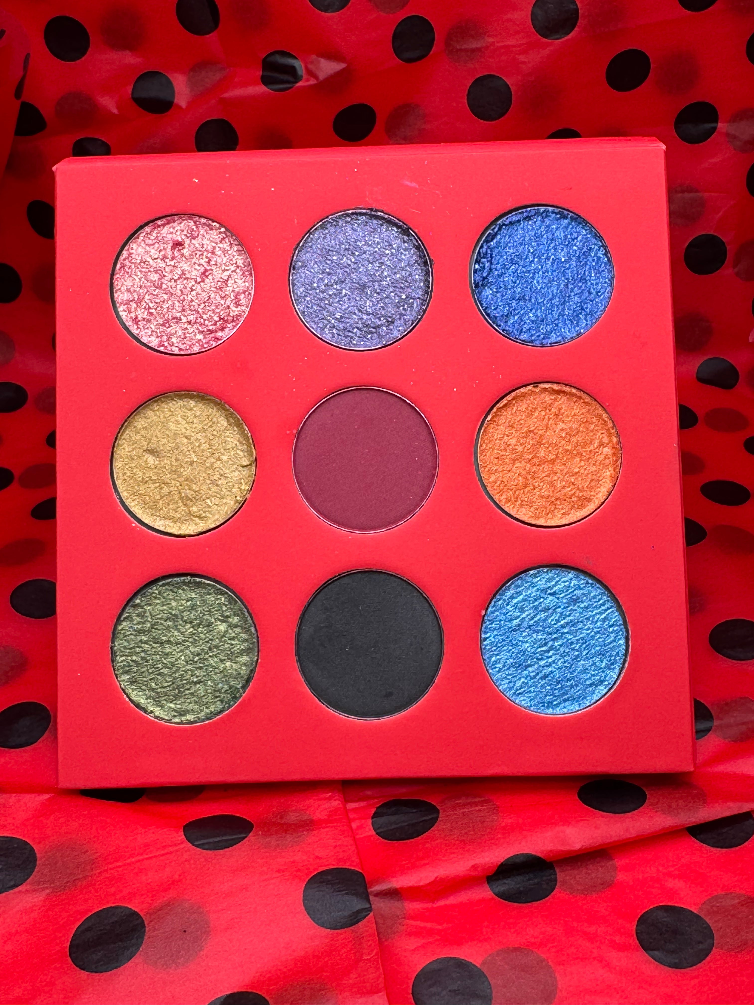 Rainbow Ladybug collection