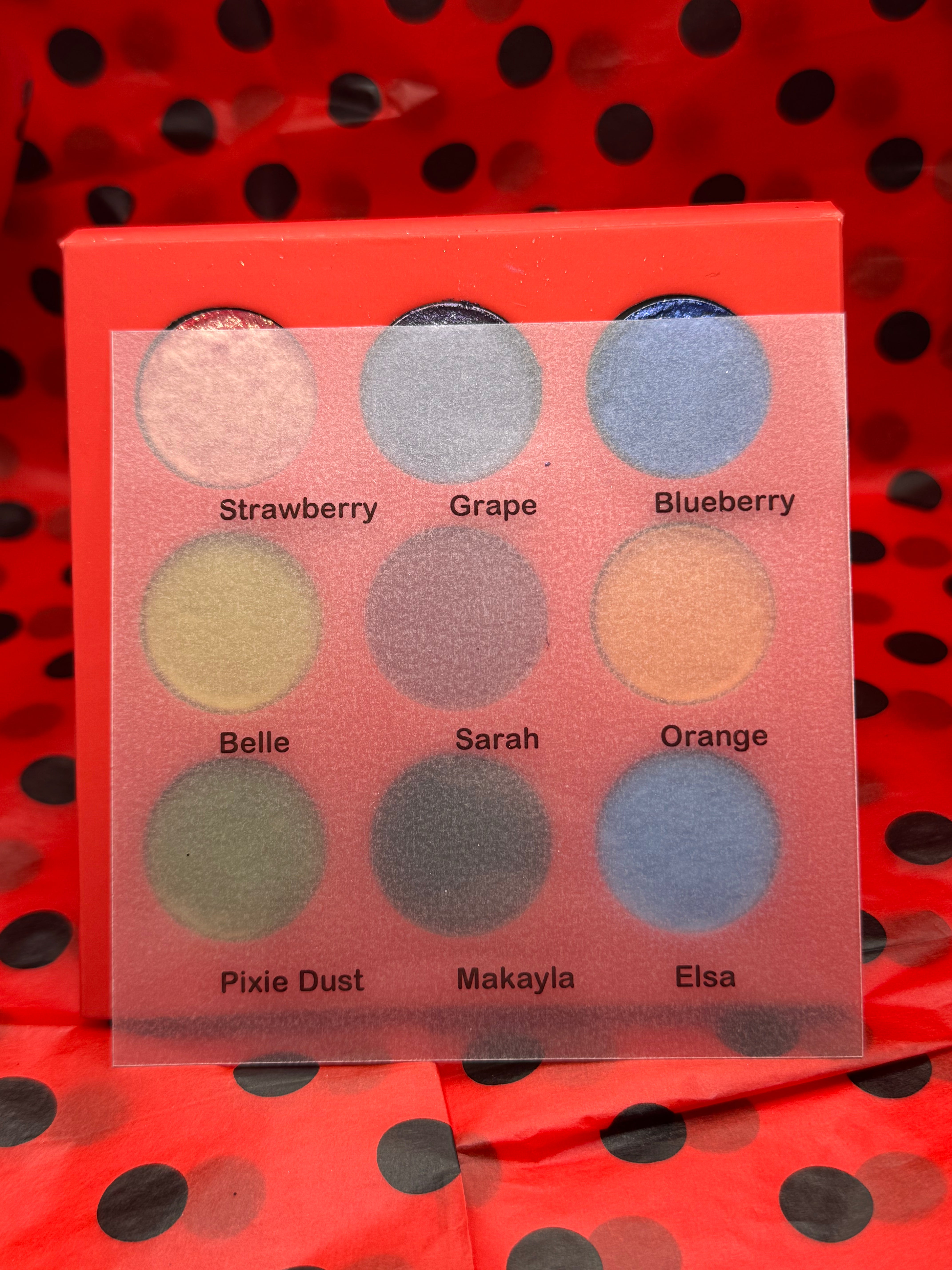 Rainbow Ladybug palette