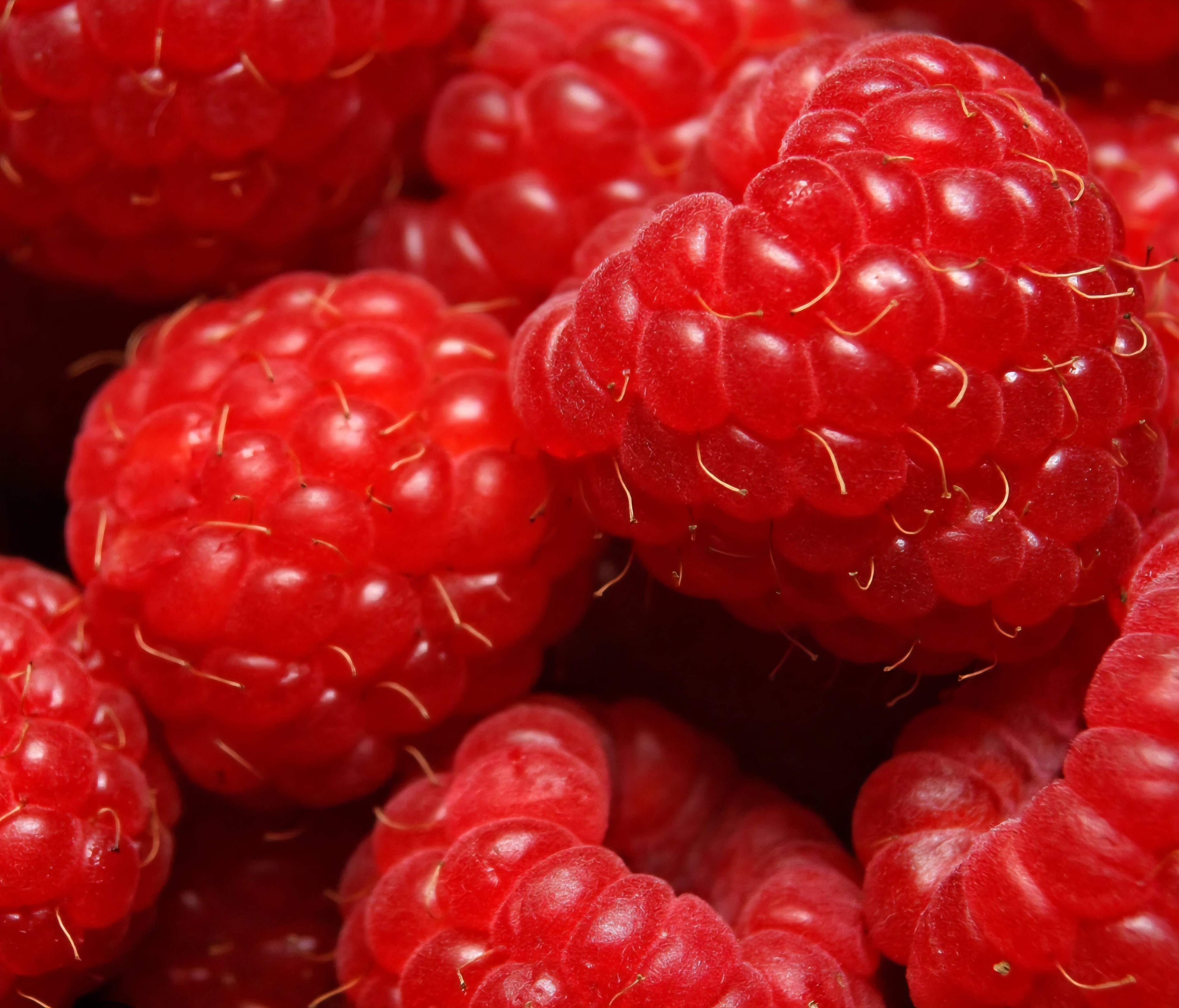 Ruby Raspberry